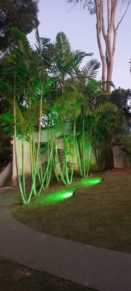 A imagem demonstra um refletor verde iluminando duas arvores em um jardim.